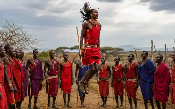 Why Do Maasai Warriors Jump So High?